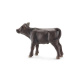 Schleich - Telátko Angus 13768