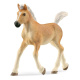 Schleich - Hříbě Haflinger 13951