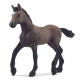 Schleich - Hříběcí plemena Peruánský Paso 13954