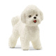 Schleich - Bišon Frisé 13963