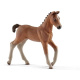 Schleich – Hříbátko Mustang 17085