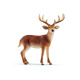 Schleich – Jelen běloocasý 14818
