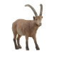 Schleich – Kozoroh 14873
