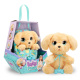 Baby Paws –  Pes Labrador