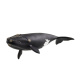Schleich - Velryba severoatlantická 14878