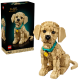 11384 Lego Icons - Štěně zlatého retrívra