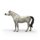 Schleich - Valach knabstrupský kůň 14916